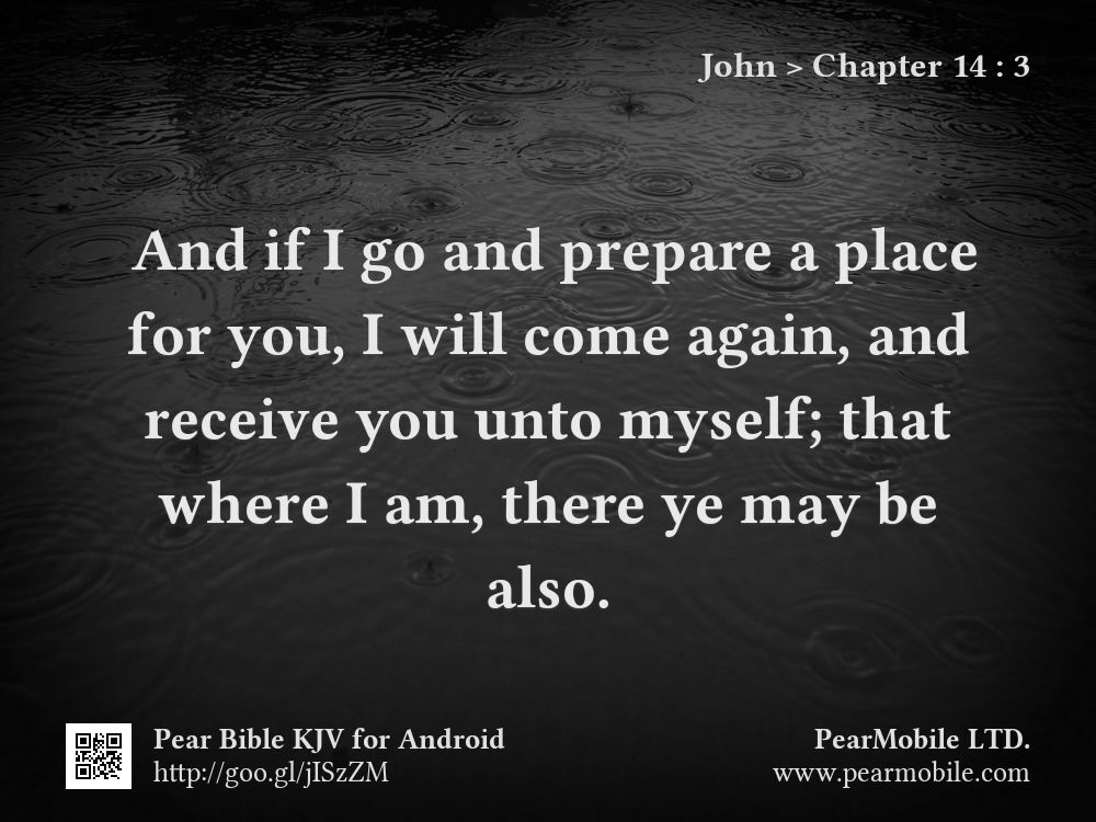 John, Chapter 14:3